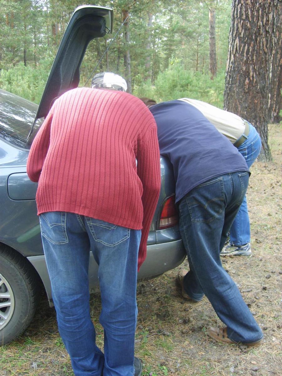 не по плану но тоже развлечение)