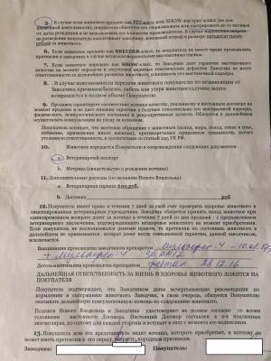 Договор на содержание животных образец