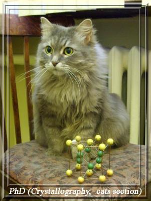 PhD (Crystallography, cats section).jpg