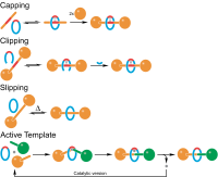 Rotaxanes-synthesis-methods.png
