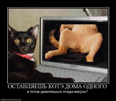 Вирусы .... .jpg