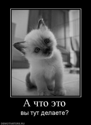 А что это вы тут делаете(впр).jpg