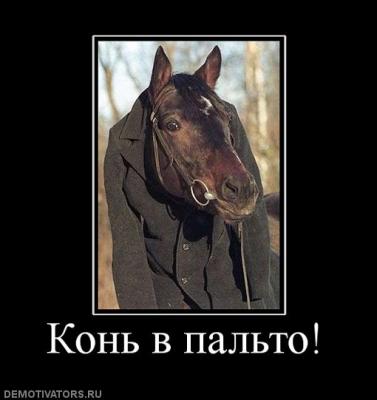 868378_kon-v-palto.jpg