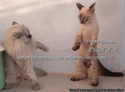 ... Что же Вы, педагог, матом ругаетесь ....jpg