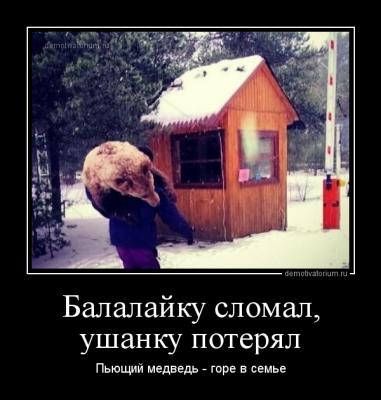 !!!!Пьющий медведь - горе в семье.jpg