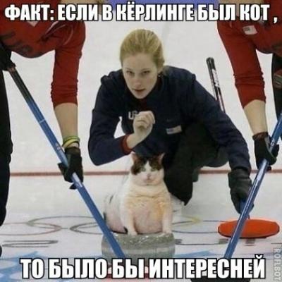 !!!!~Если б в кёрлинге был бы Кот - было б интересней.jpg
