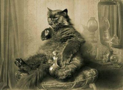 !!!!~Кот с рюмкой.jpg