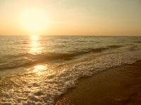 Фотография Fedmgn